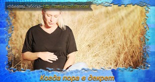 во сколько недель уходят в декрет