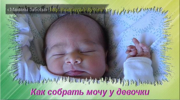 Как собрать мочу у новорожденной девочки