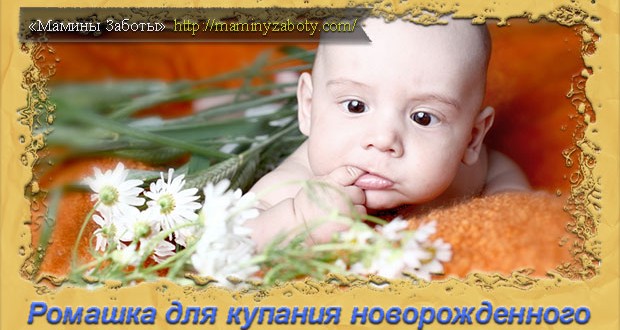 ромашка для купания