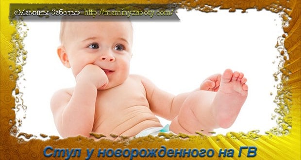 стул у новорожденных при ГВ