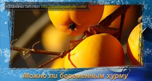можно ли хурму во время беременности
