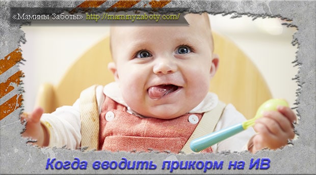 Прикорм для грудничков и не только Прикорм для грудничков и не только