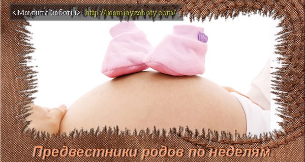предвестники родов у повторнородящих