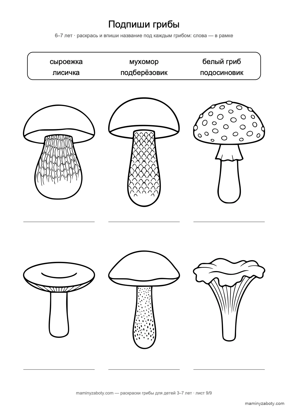 Задание-раскраска для детей 6–7 лет: подпиши шесть грибов словами из рамки Задание-раскраска для детей 6–7 лет: подпиши шесть грибов словами из рамки